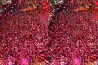 Jaipur Holi Celebration