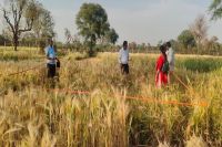 Congress Demands Compensation of ₹50,000 for Farmers Affected by Hailstorm