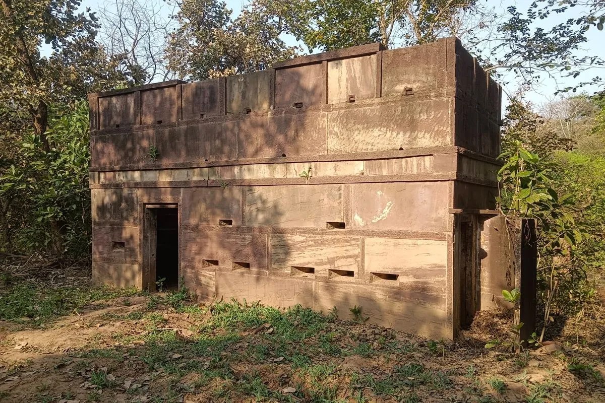 पुरानी इमारत और एतिहासिक विरासत की गवाही देता दमोह का जंगल The forest of Damoh bears witness to old buildings and historical heritage