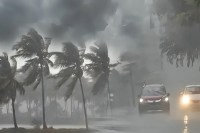 यूपी में मौसम बदला, बारिश और तेज हवाओं का अलर्ट, बढ़ेगा तापमान (फोटो सोर्स : भाषा WhatsApp News Group)