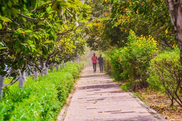 Cloudy weather in jaipur 