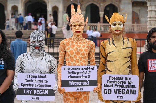 PETA demonstration in jaipur