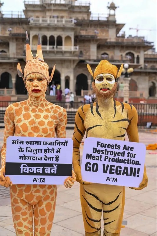 PETA demonstration in jaipur