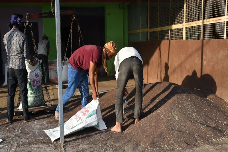 इस बार भी... किसानों को रास नहीं आएगी एमएसपी This time too... farmers will not like MSP