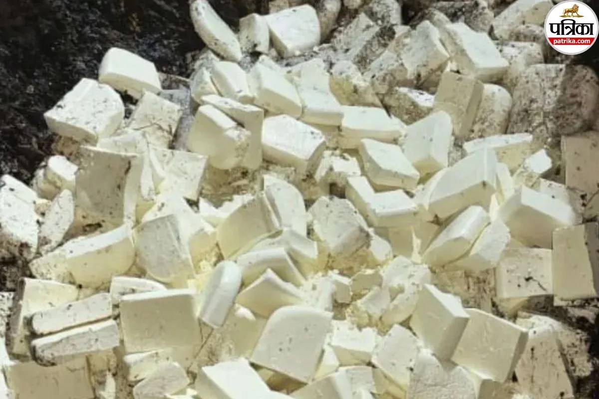 Jaipur Over 700 kg Fake Paneer Seized in Jawahar Nagar Second Major Police Crackdown in 5 Days