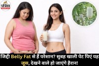 Ash Gourd for weight loss