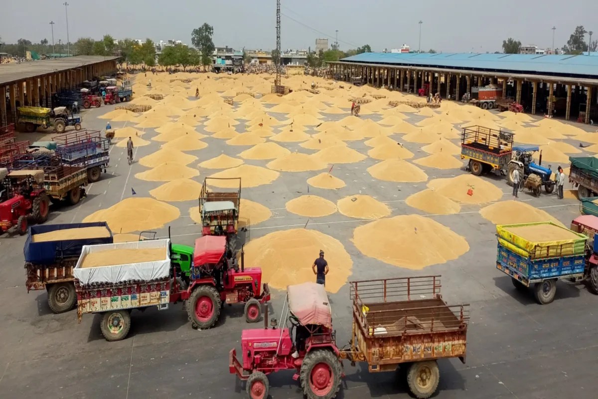Baran mandi bhav today, Gehu mandi bhav Rajasthan, Baran wheat price today, Rajasthan mandi rates wheat, Baran agriculture market price update, Gehu rate today Rajasthan mandi, Baran mandi latest prices wheat, Rajasthan wheat mandi bhav today, Baran mandi arrival wheat news, Gehu bhav today India mandi, Baran mandi commodity prices update, Rajasthan mandi wheat price drop, Baran mandi farmers news wheat, Gehu mandi rate March update, Baran mandi bhav live update