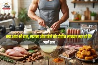 Best Protein Sources