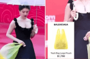 Chinese Actress Expensive Plastic Bag