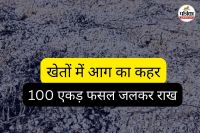 100 एकड़ फसल जलकर राख (फोटो सोर्स- पत्रिका)