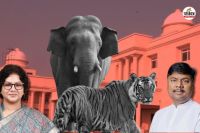 छत्तीसगढ़ में तीन साल में 9 बाघ और 38 हाथियों की मौत, विधानसभा में मंत्री ने बताए चौंकाने वाले आंकड़े(Photo-patrika)