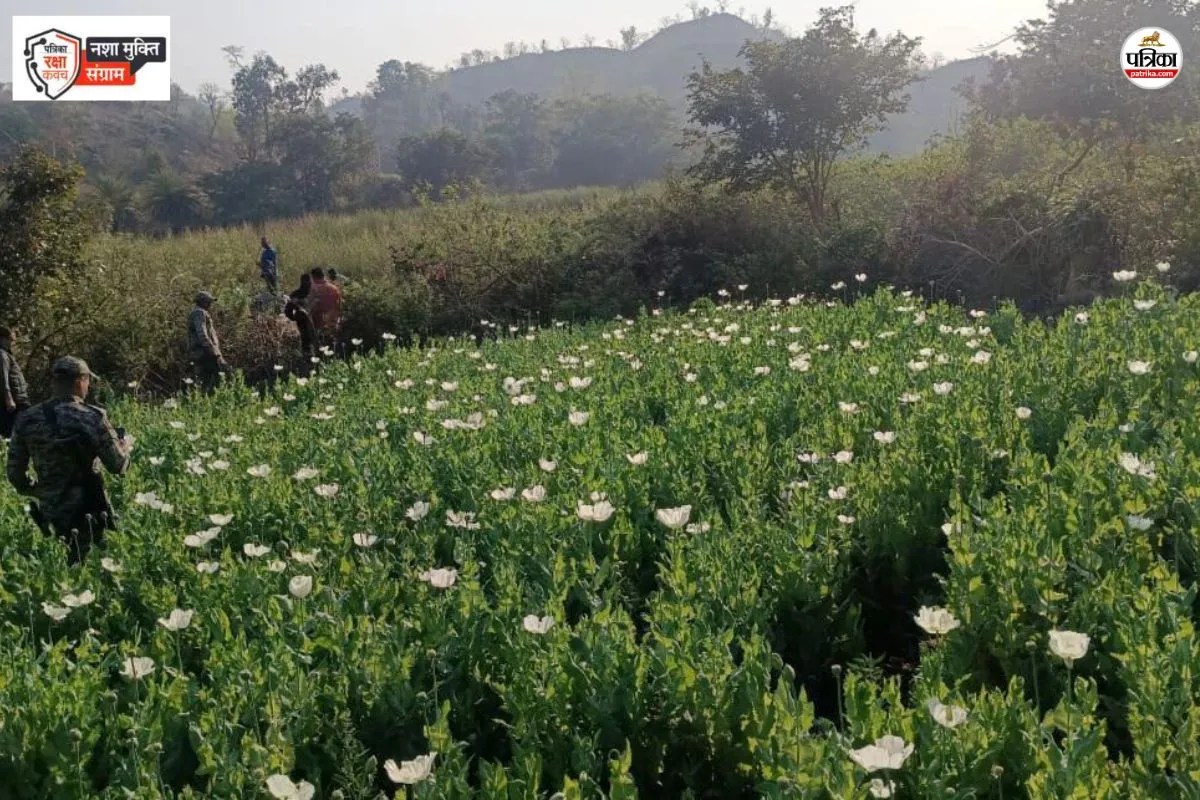 नशा तस्करों के खिलाफ एएनटीएफ की बड़ी कार्रवाई, पत्रिका फोटो