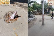 शहरवासी ब्लैक स्पॉट की दर्ज करा रहे शिकायतें, पत्रिका फोटो