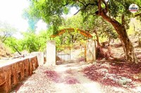 कुंभलगढ़ टाइगर रिजर्व,पत्रिका फाइल फोटो