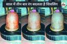 साल में तीन बार रंग बदलता है शिवलिंग(photo-patrika)