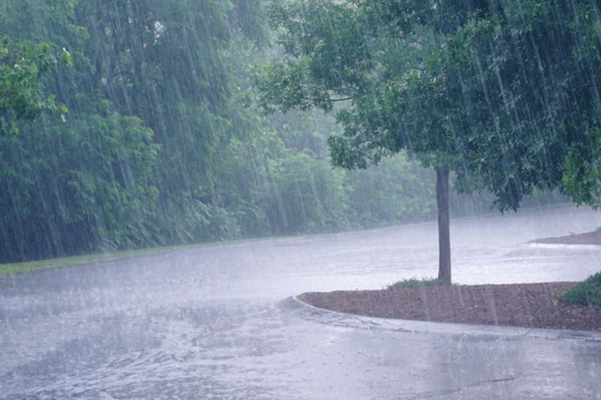 Delhi NCR Weather Update in hindi