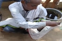 Rajasthan accident news, Dholpur Rajakhera incident, child accident India, tragic pickup accident, 3 year old girl death, village accident news, road safety India, pickup vehicle accident, breaking news Rajasthan, child safety awareness, fatal road accident India, Dholpur news update, rural accident story, heartbreaking accident case, India local news tragedy