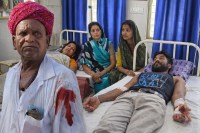 Dog bite in Chittorgarh, Dog bite, Dog bite in Rajasthan, Dog bite case, Chittorgarh news