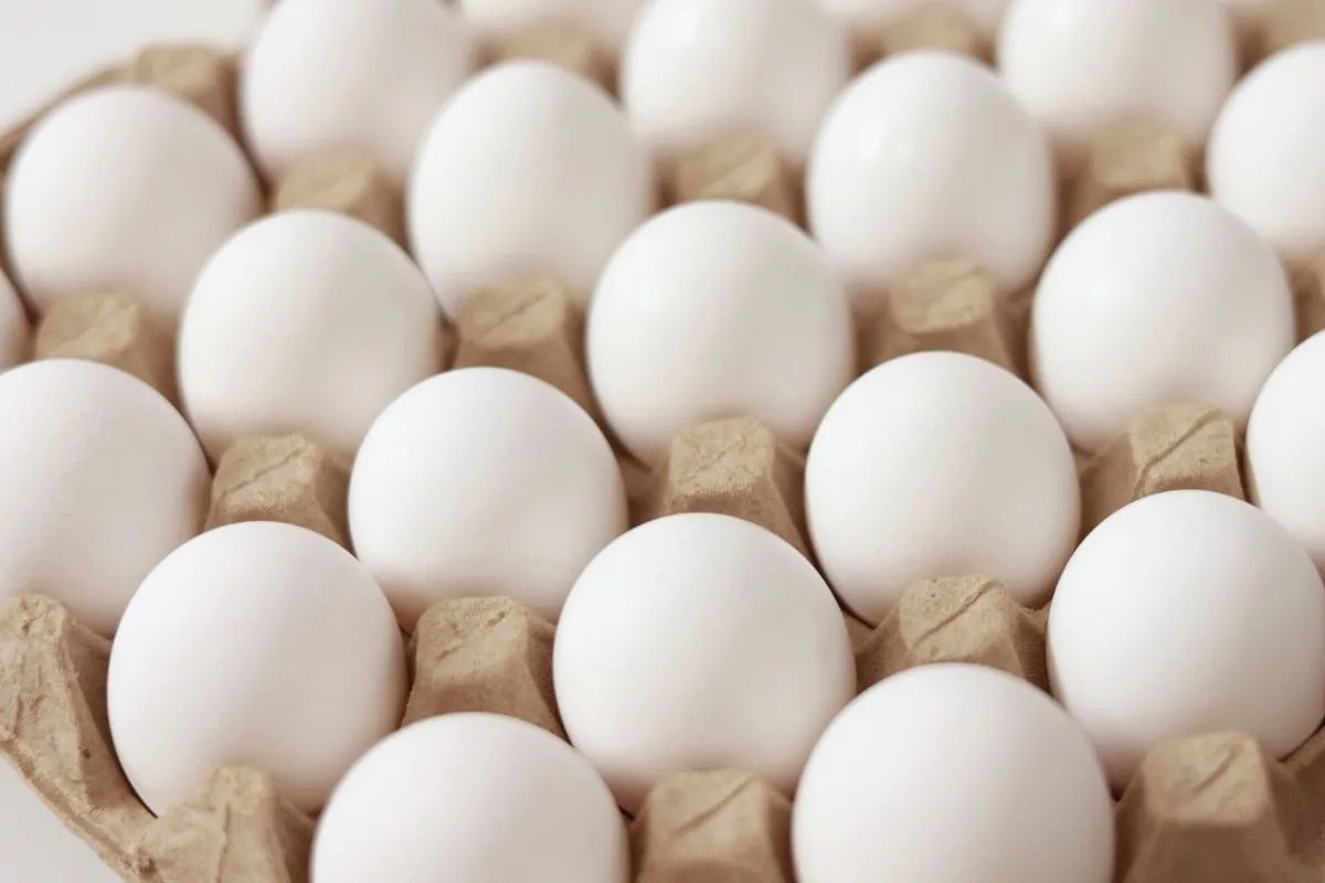 अब हर अंडे पर दिखेगी लेइंग और एक्सपायरी डेट