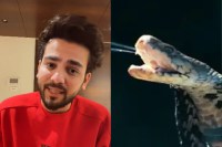 Elvish Yadav On Snake Venom Case