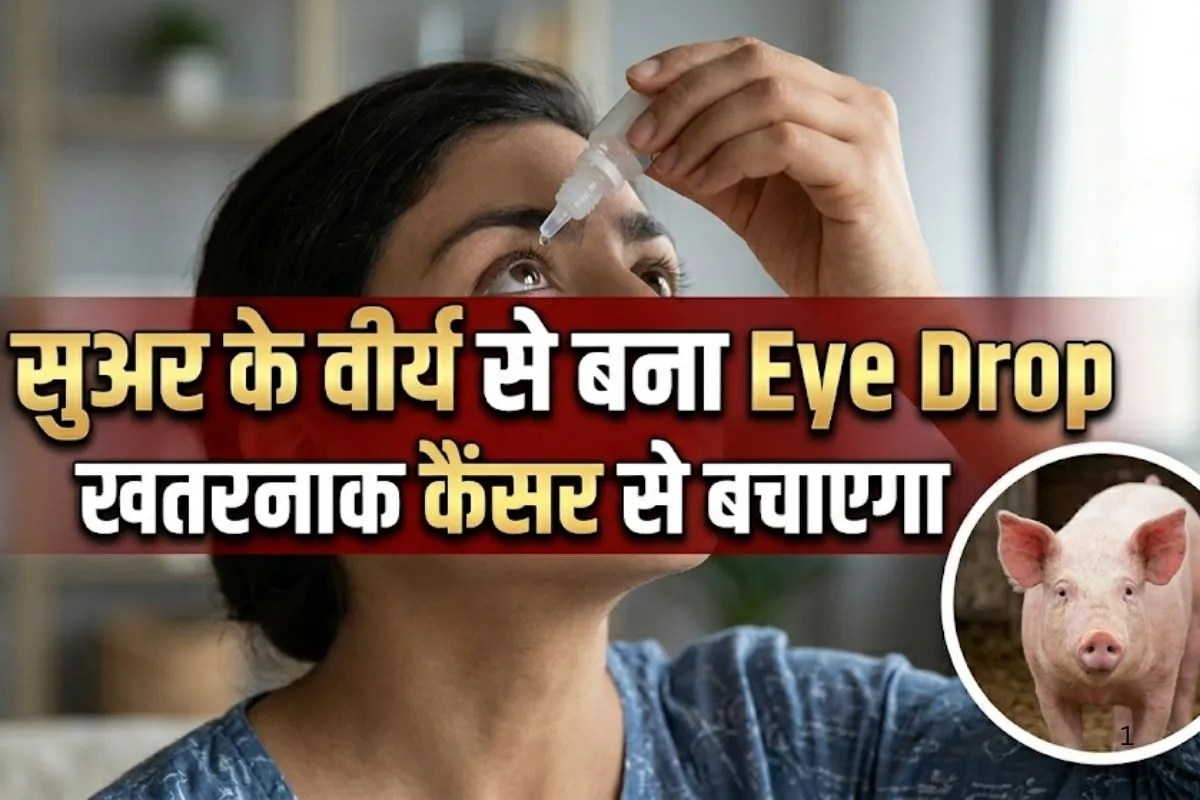 Eye cancer, eye drop made from Pig semen, eye drop for cancer, eye drop treat rare eye cancer,