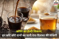 Fenugreek Seeds Water Benefits