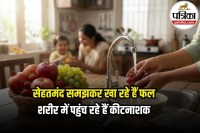 Fruits Pesticide Risk