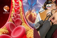 Heart Attack Risk dial ka sach series part 9 plaque or blockage test at home