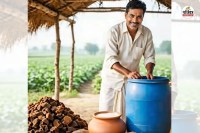 Jeevamrit is a low-cost bumper yield formula Rajasthan farmers fate will change
