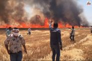 Kota Fire
