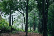 Mount Abu incident, leopard attack Rajasthan, Jalore wildlife news, Achalgarh forest news, Rajasthan forest attack, Mount Abu news today, wildlife attack India, leopard attack human India, Rajasthan breaking news, forest department alert Rajasthan, tribal man death Rajasthan, wildlife danger India, Mount Abu forest area, Rajasthan police investigation, leopard attack case India