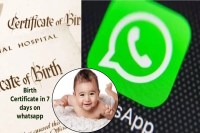 MP News Birth Certificate on Whatsapp in 7 days
