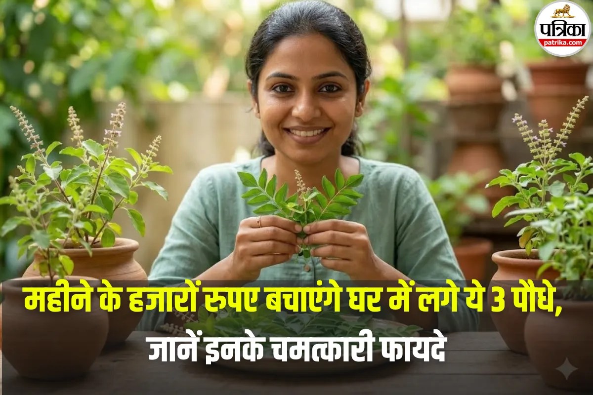 Medicinal Plants for Health and Fitness