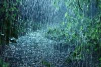 IMD Weather Update mp