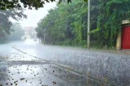 MP Weather