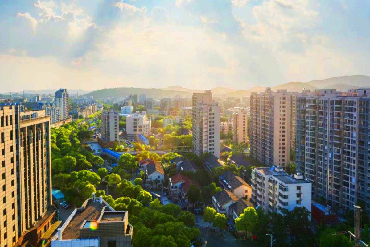 New Collector Guidelines