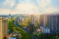 New Collector Guidelines