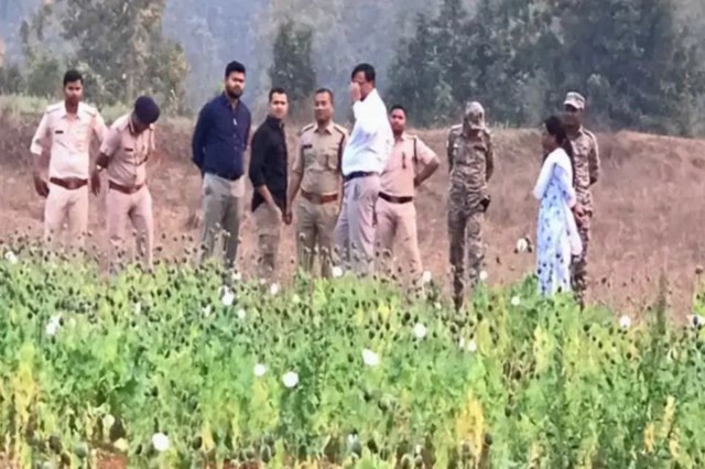 Opium seized in Balrampur