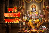 Papmochani Ekadashi 2026: