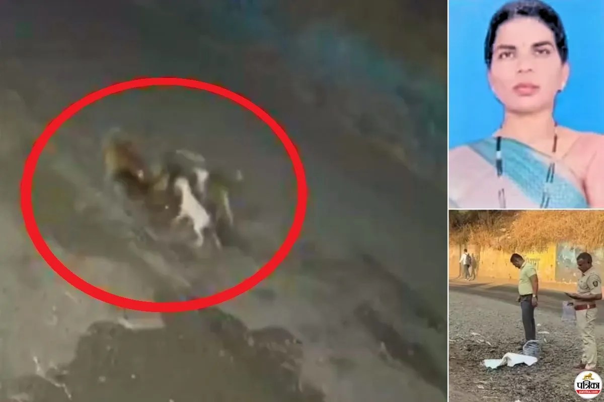 Pune Dog Attack CCTV