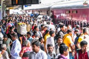 Holi Train