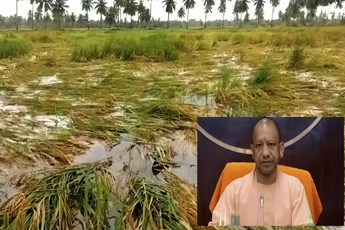 बारिश से फसल नुकसान पर सख्त सीएम योगी (फोटो सोर्स : भाषा WhatsApp News Group)