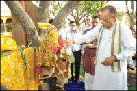 गौमाता के तिलक लगाकर मंत्री ने की अभियान की शुरुआत, फोटो - पत्रिका