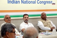 Haryana Rajya Sabha election, Haryana RS polls 2026, BJP Sanjay Bhatia, Satish Nandal candidate,