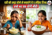 How To Keep Curd From Turning Sour