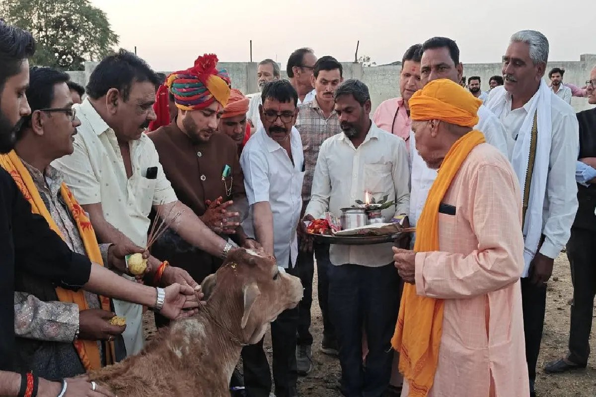 cow devotee unique wedding sets example for society raisen mp news