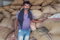 Sarso Chana MSP Rajasthan, Sarso Chana Price Support, Rajasthan Farmers Sarso Chana News, Sarso Chana Buying Centers Rajasthan, Rajasthan Agriculture News 2026, Sarso Chana Crop Update Rajasthan, MSP Sale Sarso Chana Rajasthan, Rajasthan Farmers Relief News, Sarso Chana Procurement Rajasthan, Sarso Chana Online Registration Rajasthan, Sarso Chana Harvest Update, Rajasthan Crop Price Alert, Sarso Chana Market News Rajasthan, Rajasthan Farmer Support Scheme, Sarso Chana Latest News 2026