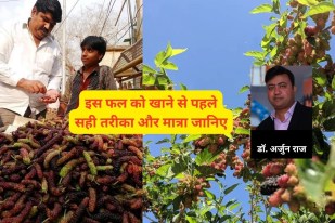 Shahtoot Benefits, Shahtoot Benefits In Hindi, Ayurvedic Doctor says this small fruits mulberry good for heart,