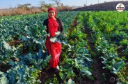 International Women's Day Dungarpur Shanta Patel changed her destiny through organic farming American broccoli is earning millions