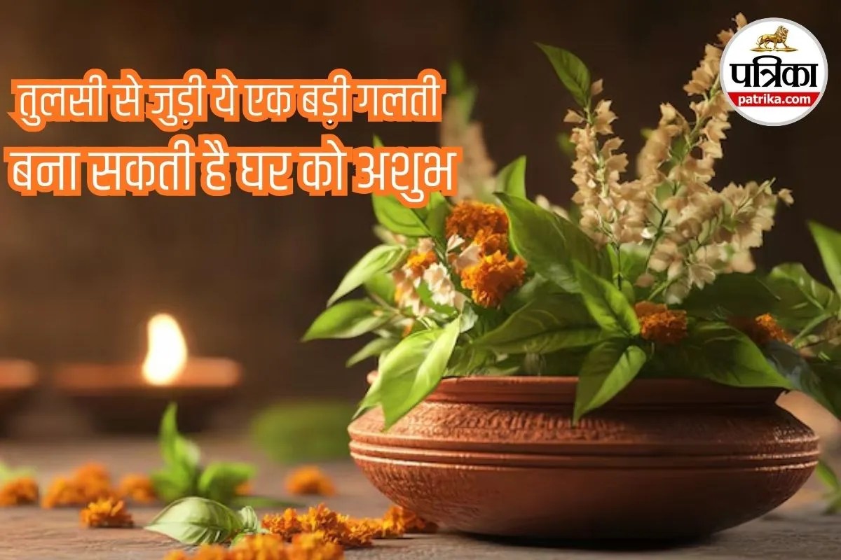 vastu tips for tulsi, tulsi plant vastu tips, tulsi vastu mistakes